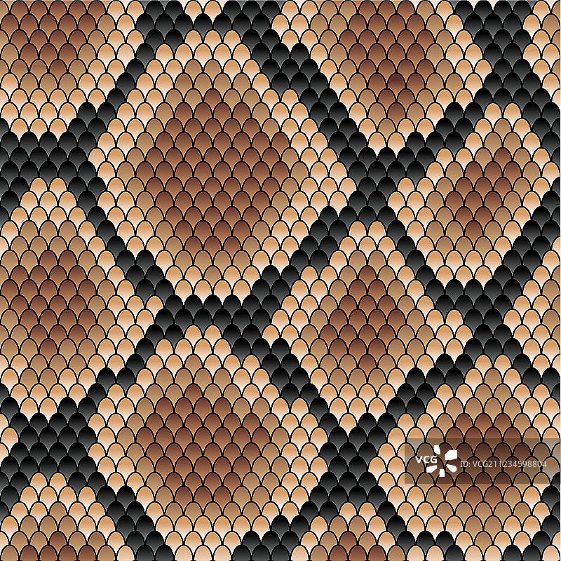 棕色蛇无缝图案图片素材