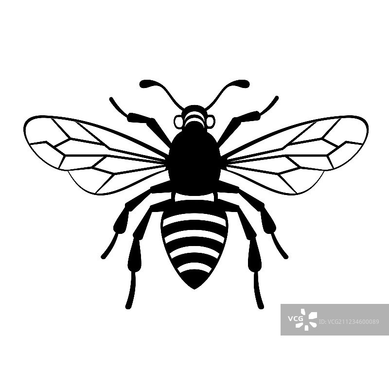 蜜蜂图标图片素材