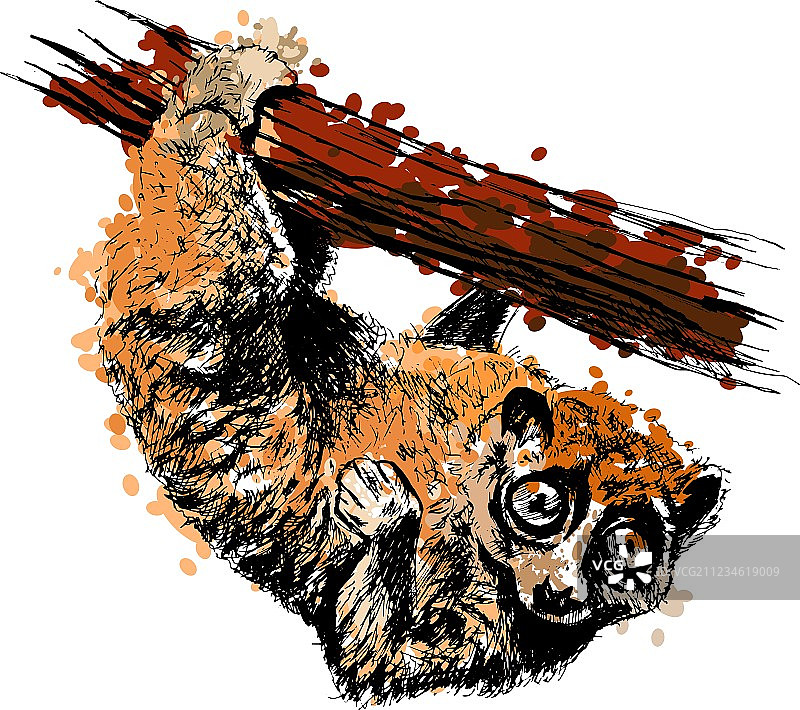 彩色手绘懒猴图片素材