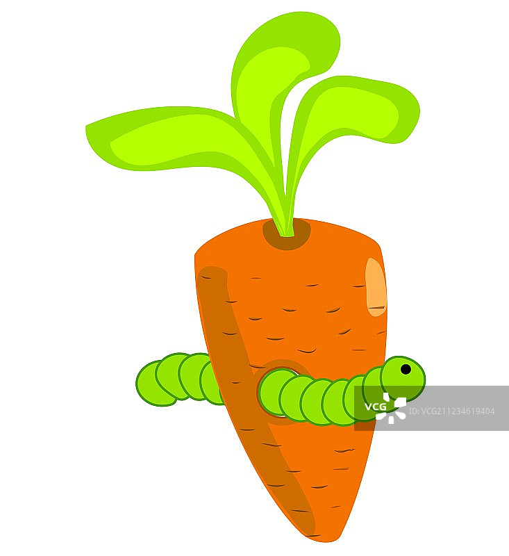 胡萝卜里的毛毛虫图片素材