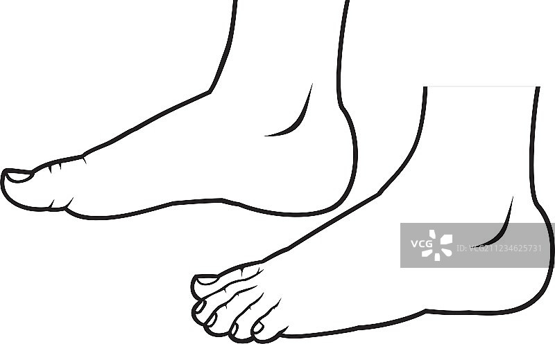 站立的脚图片素材