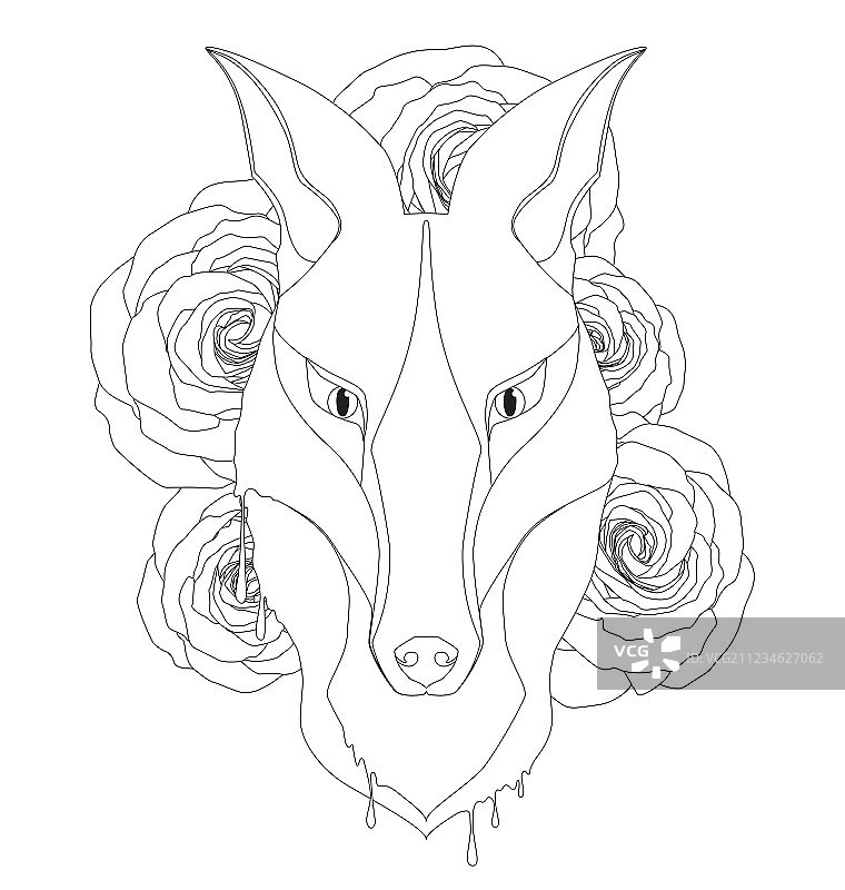 优雅狐狸成人涂色页图片素材