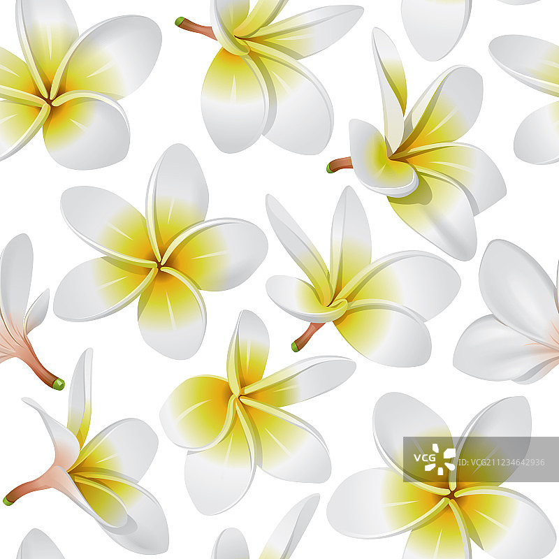 热带花卉无缝图案图片素材