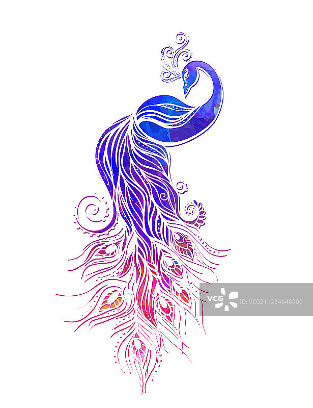 漂亮的卡片图片素材