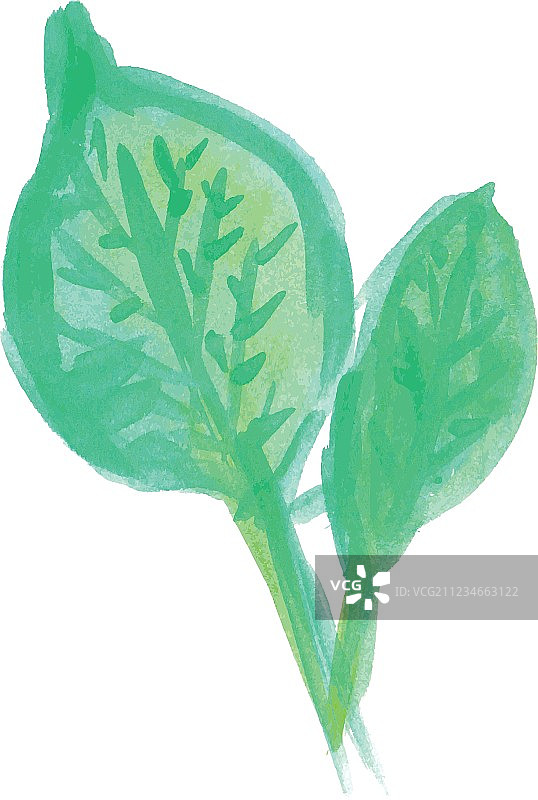 手绘水彩树叶图片素材