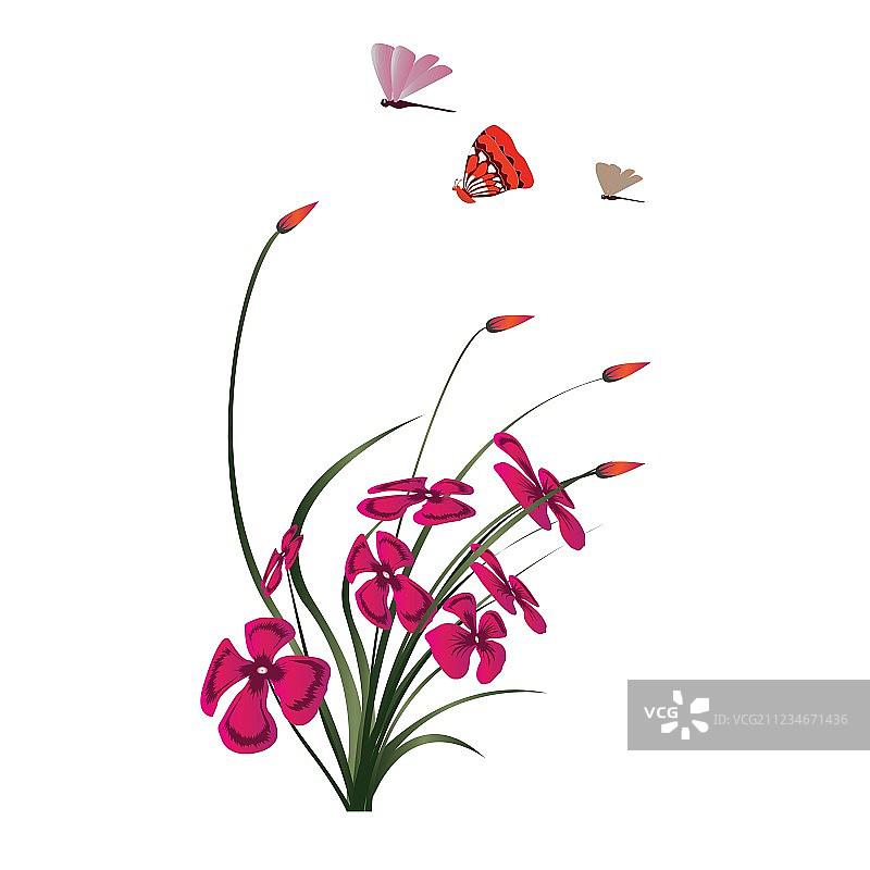 花园鲜花图片素材