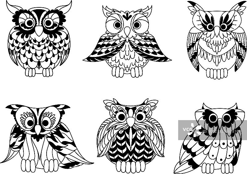 卡通轮廓猫头鹰鸟类合集图片素材