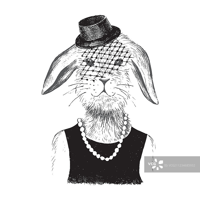 穿着时髦的兔子女孩图片素材