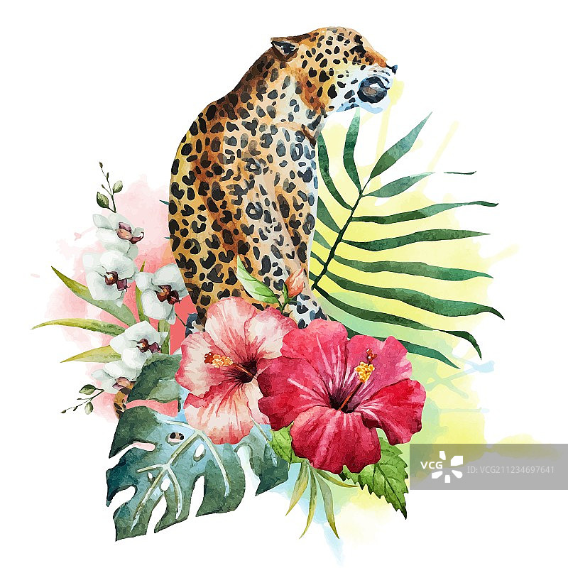 水彩豹纹图片素材