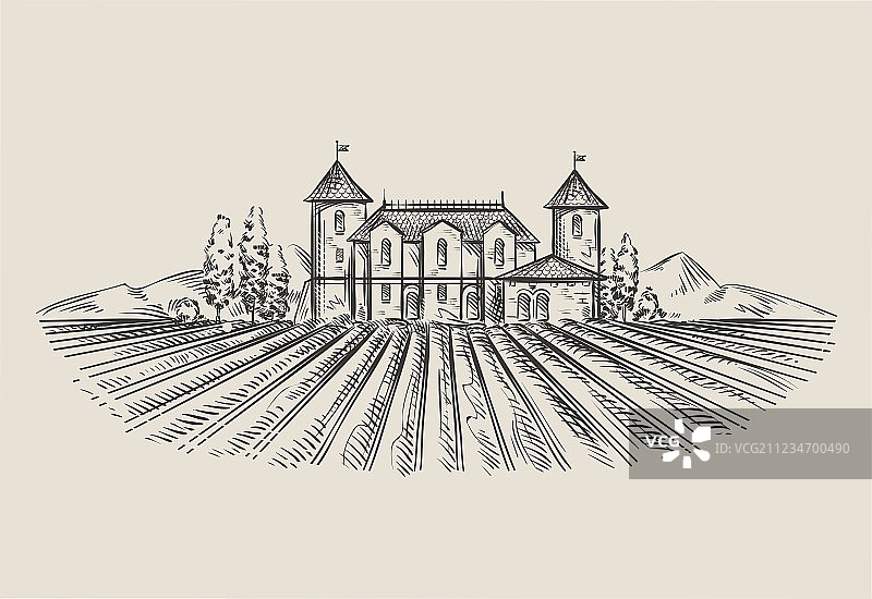 葡萄园手绘草图图片素材