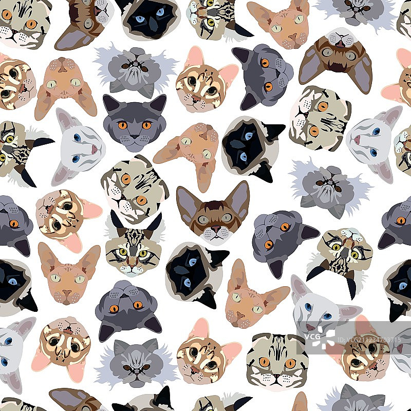 扁平风无缝花纹猫咪图案图片素材