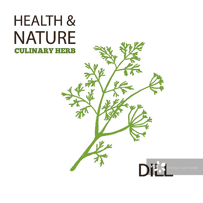 健康与自然补充剂合集图片素材