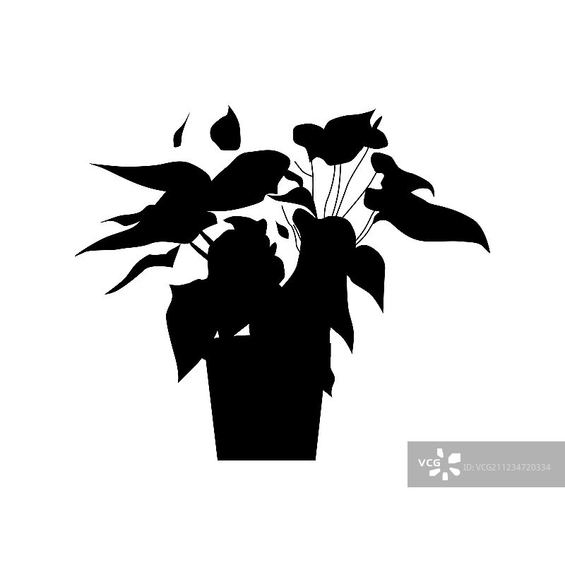 盆栽植物剪影图片素材