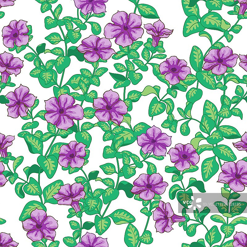 矮牵牛花图案图片素材