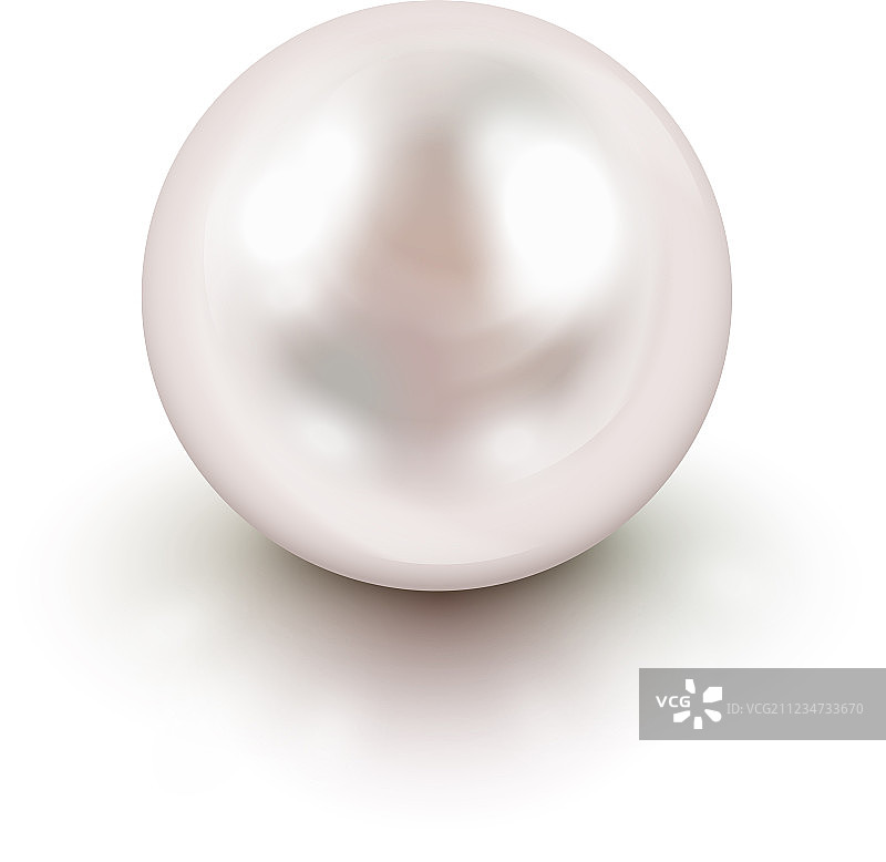 珍珠图片素材