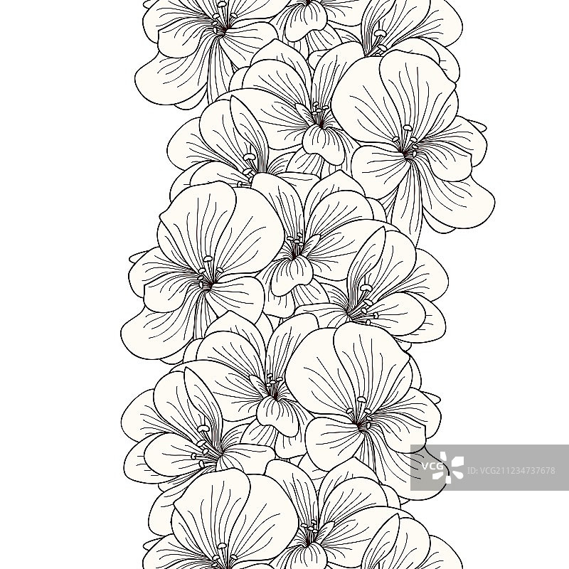 天竺葵花卉无缝边框图片素材