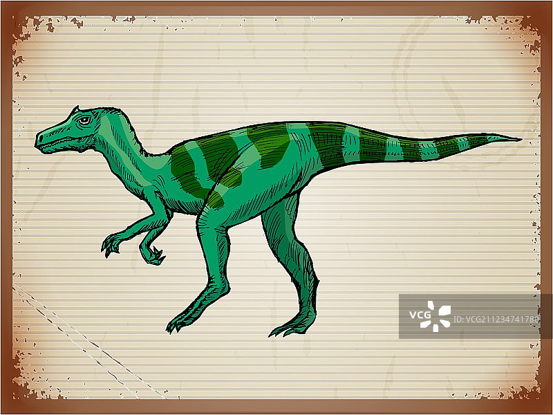 的背景图片素材