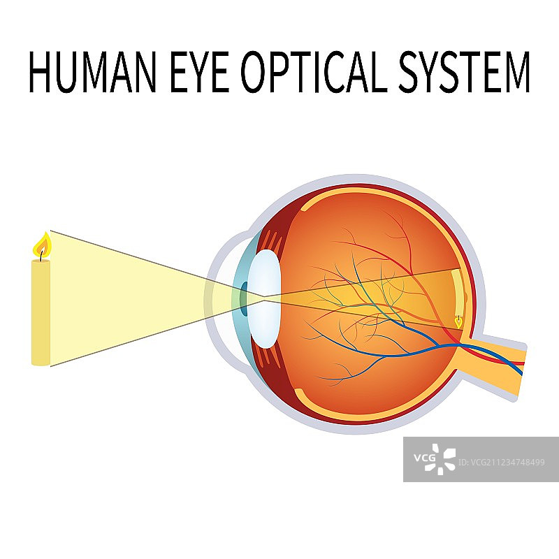人眼光学系统图片素材