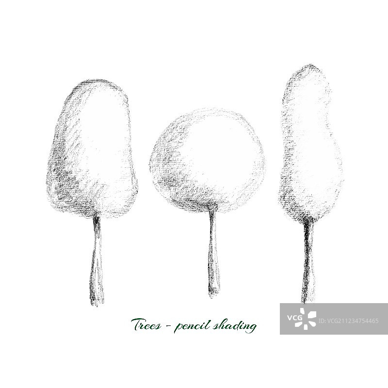 树木-铅笔阴影图片素材