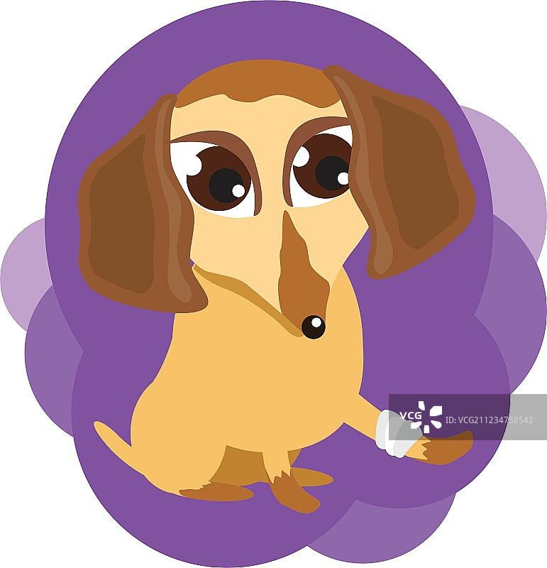 腿部受伤的狗图片素材