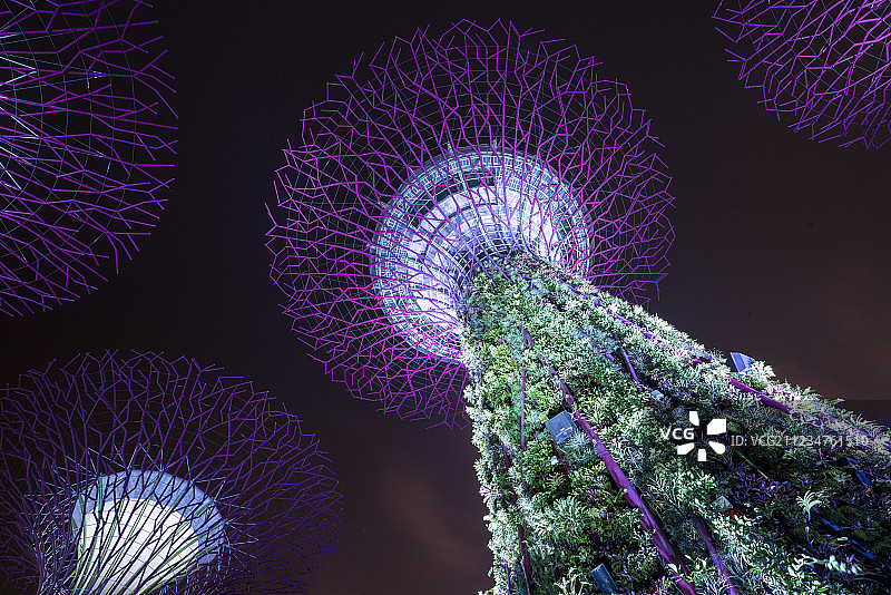 新加坡滨海湾花园夜景图片素材