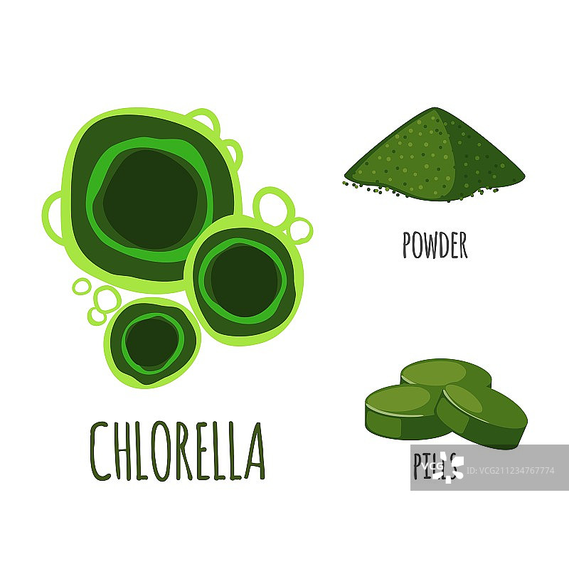 扁平风格的小球藻超级食品套装图片素材