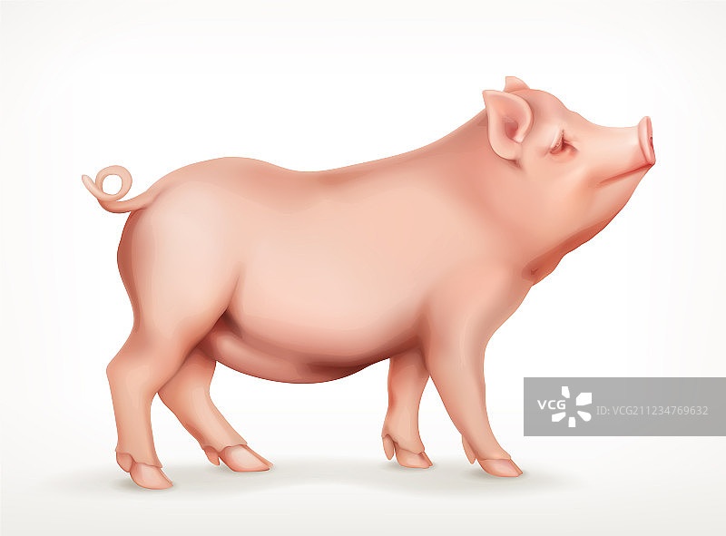 猪图标图片素材