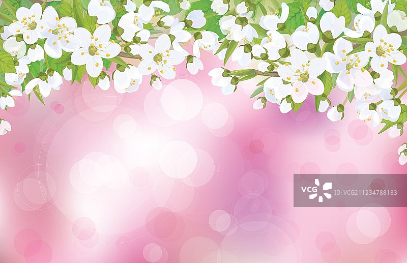 春天背景鲜花盛开图片素材