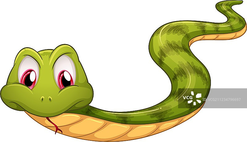 一条绿蛇图片素材