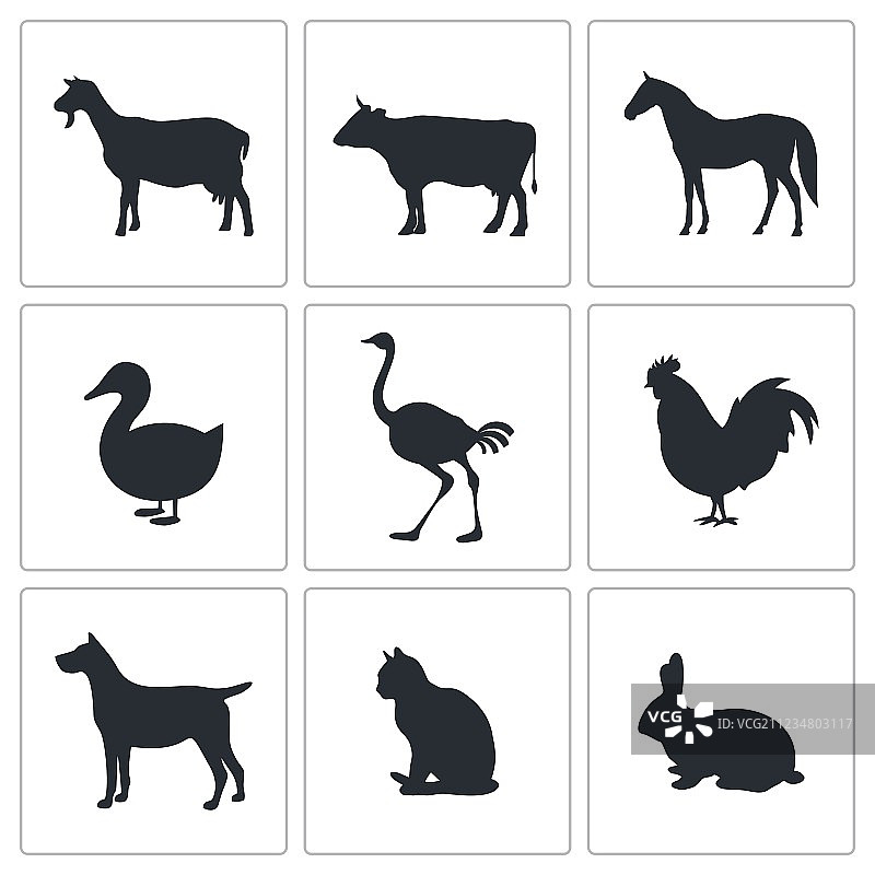 宠物图标合集图片素材