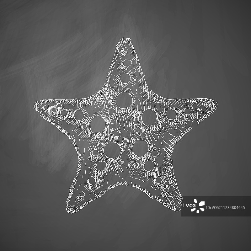 海星图标图片素材