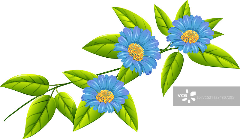 蓝色花朵与绿色叶子图片素材