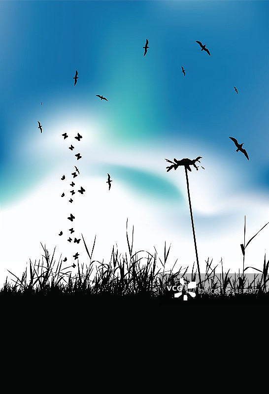 夏天的风景图片素材