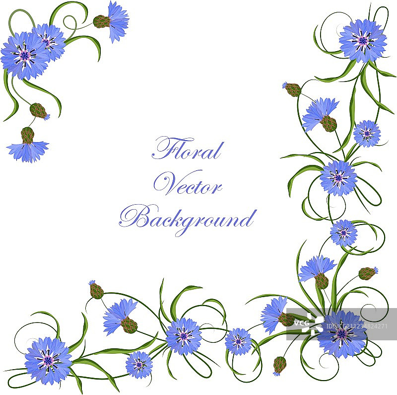 矢车菊和叶子的角落构图图片素材