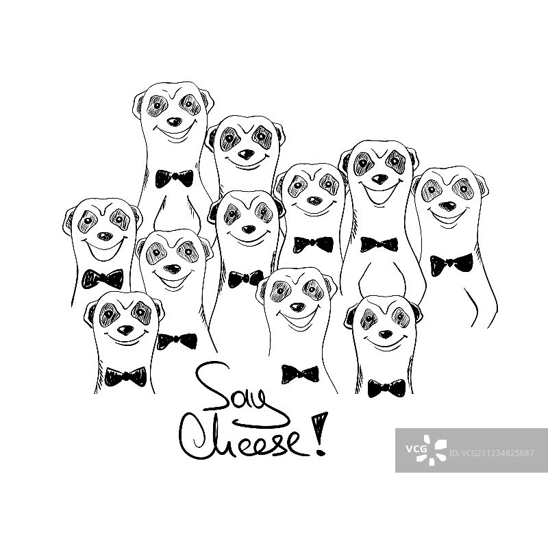 一群微笑的猫鼬的图形图片素材