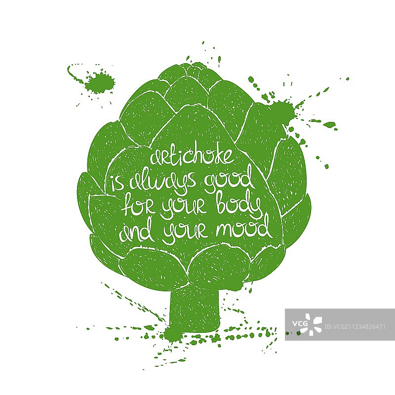 朝鲜蓟轮廓图片素材