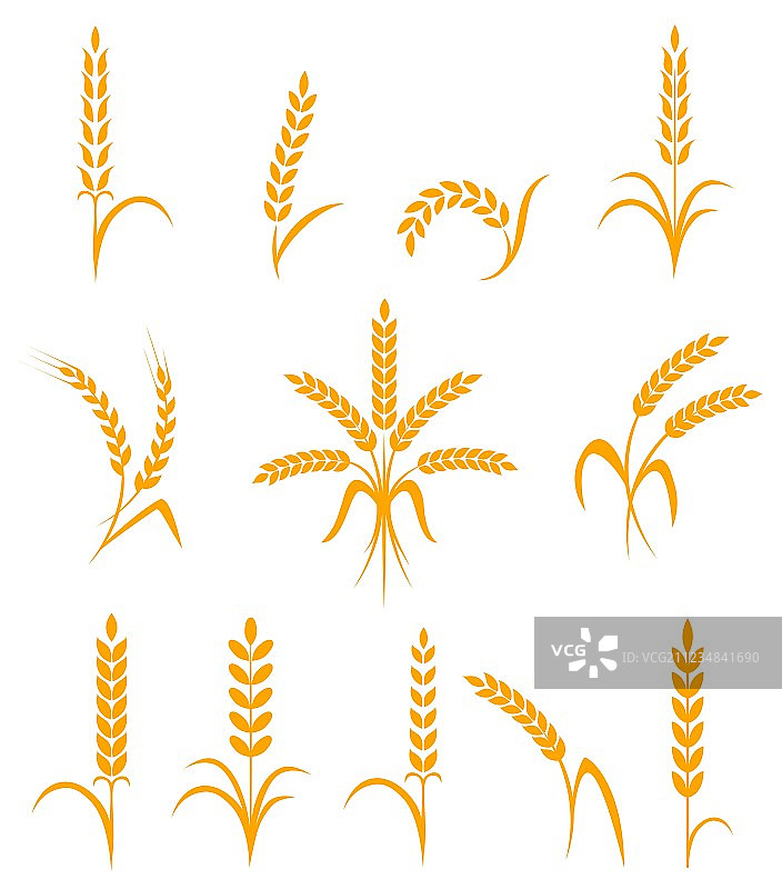 麦穗或稻米图标集，农业符号图片素材
