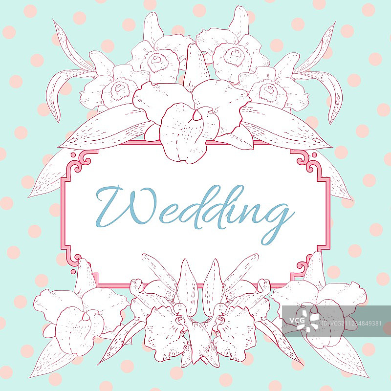 蓝色背景上的粉色和白色兰花图片素材