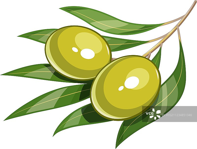 一对绿色橄榄图片素材