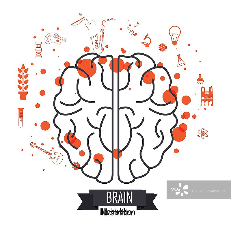 大脑设计思维图标（彩色）图片素材