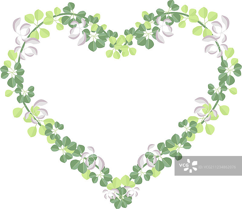 美丽心形的新鲜葡萄叶图片素材