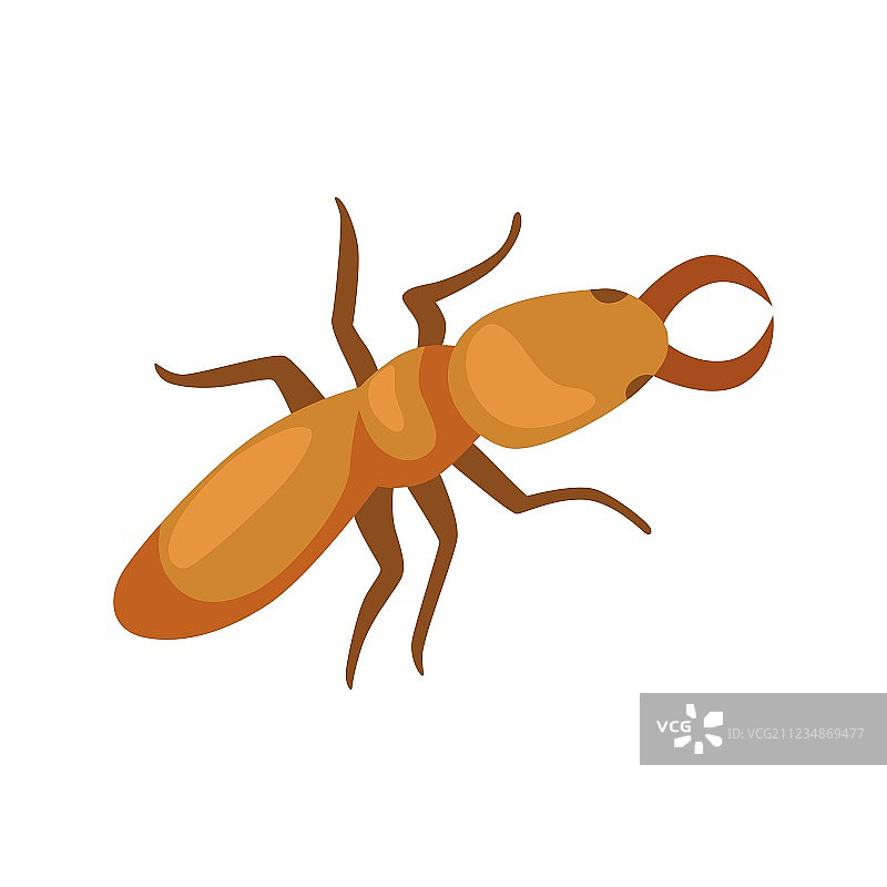 害虫防治概念与昆虫灭虫器图片素材