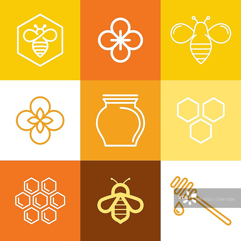 潮流logo和包装设计模板图片素材