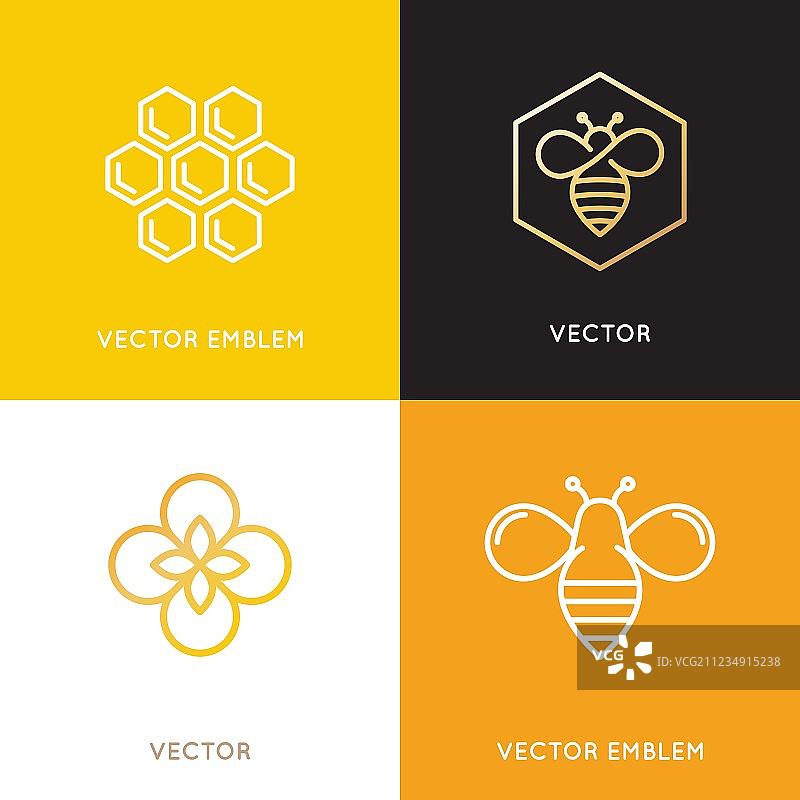 潮流logo和包装设计模板图片素材