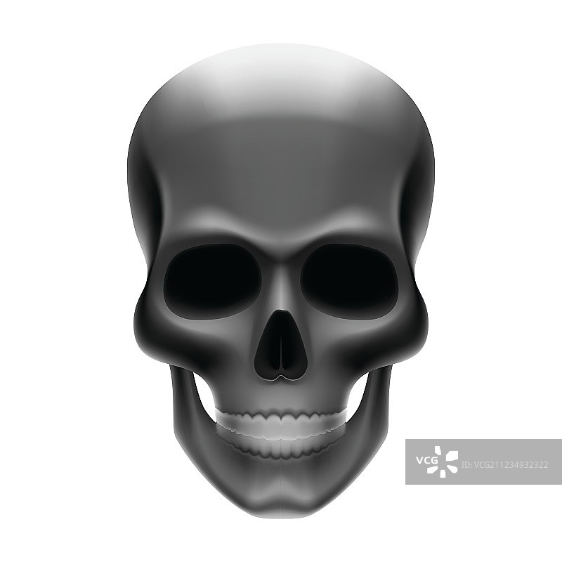 头骨图片素材