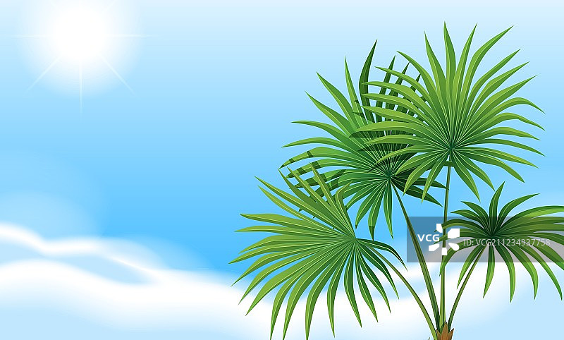 棕榈树和湛蓝的天空图片素材