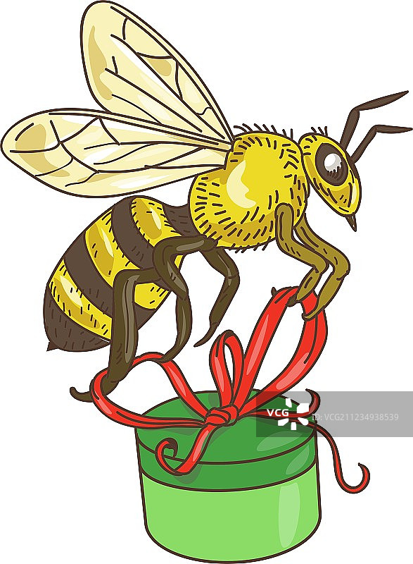 蜜蜂携带礼品盒绘画图片素材