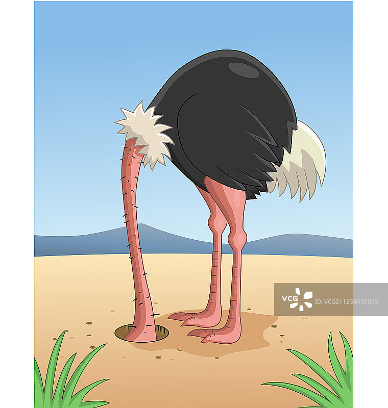 鸵鸟把头埋在沙子里图片素材