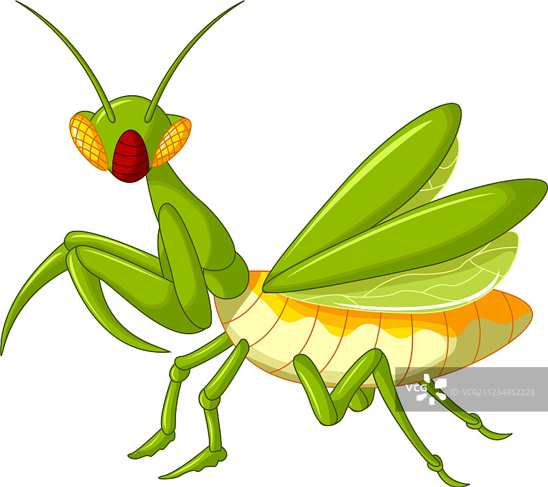 螳螂蚱蜢卡通图片素材