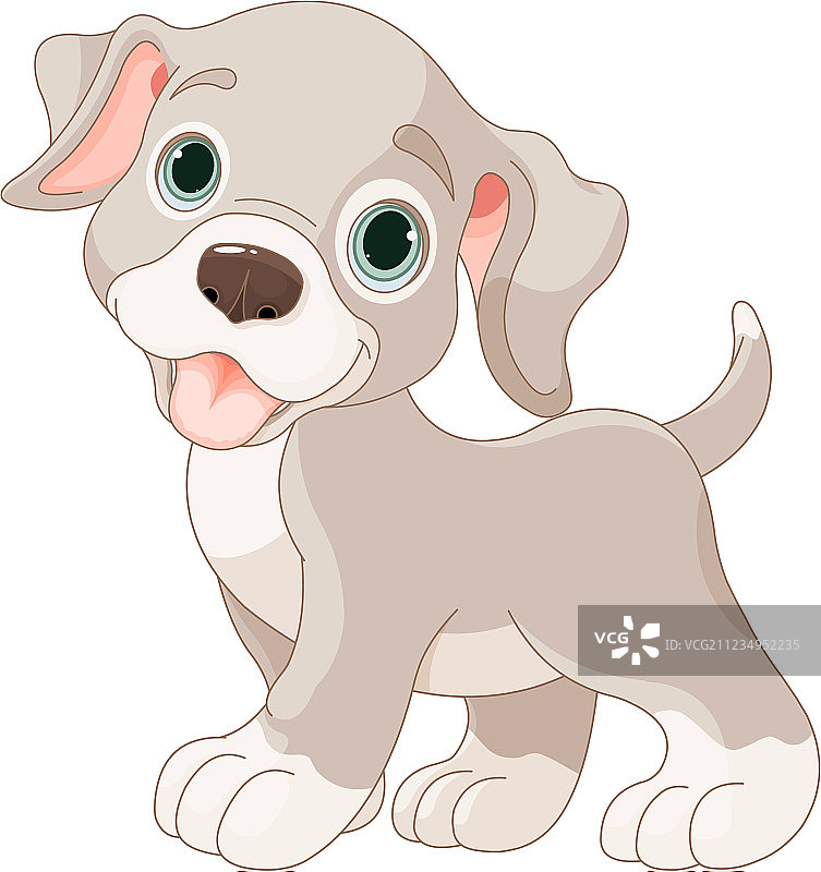 可爱的小狗图片素材